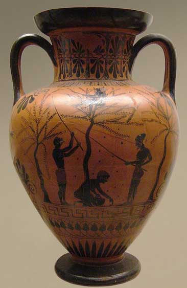 Амфора с черни фигури от Античен художника. Сцената е събиране на маслини от млади хора, Атина, около 520 г. пр.н.е. 
British Museum (B 226), London
