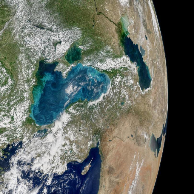 Изображение на цъфтежа на коколитофорите в Черно море и промяната на цвета му - Норман Кунинг, НАСА, Ocean Biology Processing Group.