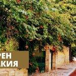 Историята на село Аврен е тясно свързана с историята на българите, останали извън границите на България след Берлинския договор.