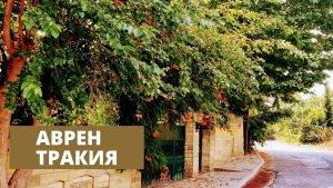 Историята на село Аврен е тясно свързана с историята на българите, останали извън границите на България след Берлинския договор.