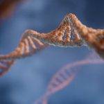 Изпитването на страдание от други хора води до различна реакция на генетично ниво и е свързано с OXTR. Снимка: digitale.de, Unsplash