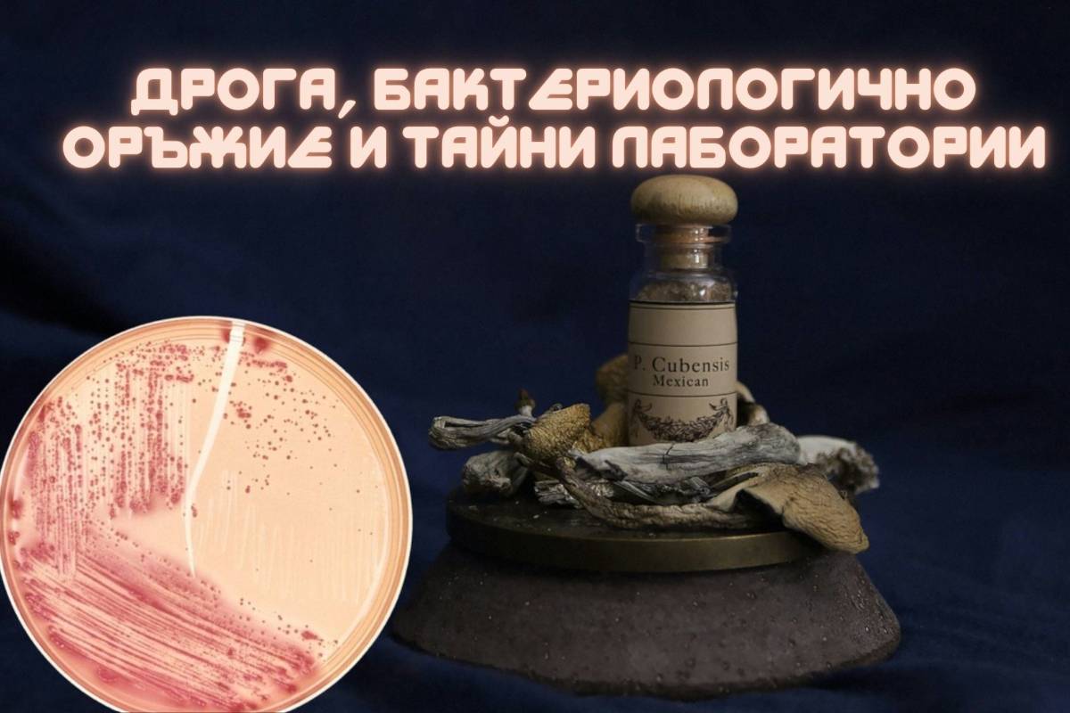 Escherichia coli може да се ползва и за производство на псилоцибин - но това не е нова идея. Много страни от десетилетия разработват бактериологично оръжие за свои цели. Снимка: Pretty Drugthings, Unsplash